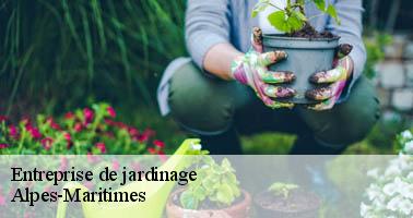 Entreprise de jardinage 06 Alpes-Maritimes Artisan Elagage 06