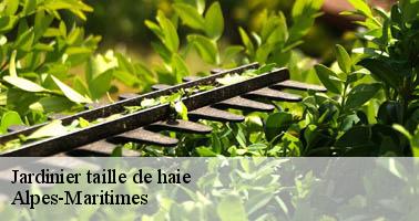 Jardinier taille de haie 06 Alpes-Maritimes Artisan Veis