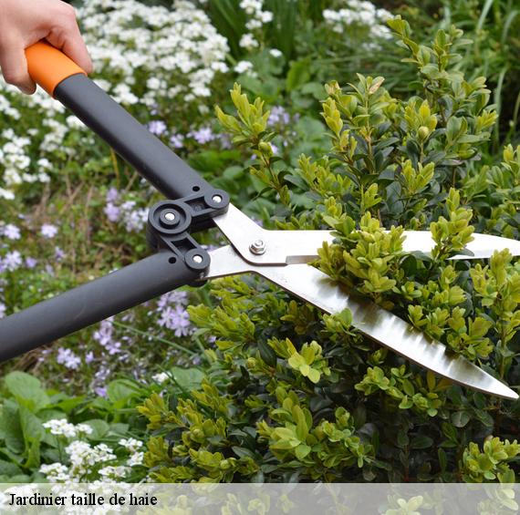 Jardinier taille de haie 06 Alpes-Maritimes Artisan Veis