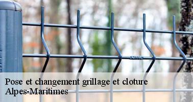 Pose et changement grillage et cloture 06 Alpes-Maritimes Artisan Veis