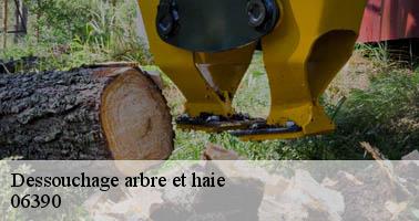 Dessouchage arbre et haie  bendejun-06390 Artisan Elagage 06