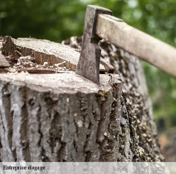 Entreprise élagage la-roquette-sur-siagne-06550 Artisan Veis