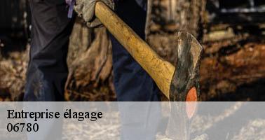Entreprise élagage saint-cezaire-sur-siagne-06780 Artisan Veis