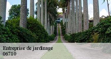 Entreprise de jardinage massoins-06710 Artisan Elagage 06