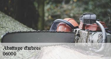 Abattage d'arbres nice-06000 Artisan Veis
