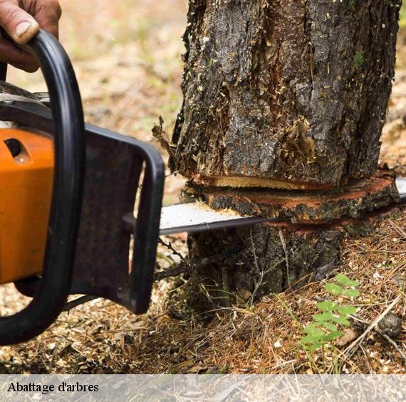 Abattage d'arbres nice-06000 Artisan Veis