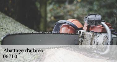 Abattage d'arbres  tournefort-06710 Artisan Veis