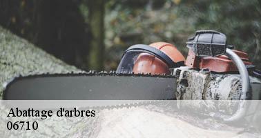 Abattage d'arbres tournefort-06710 Artisan Veis