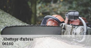 Abattage d'arbres  cap-d-antibes-06160 Artisan Veis