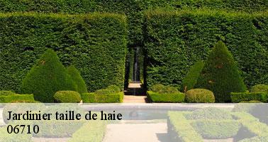 Jardinier taille de haie massoins-06710 Artisan Elagage 06