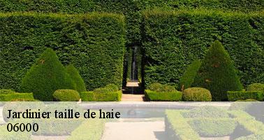 Jardinier taille de haie nice-06000 Artisan Veis