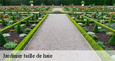 jardinier-taille-de-haie