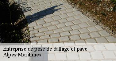 Entreprise de pose de dallage et pavé 06 Alpes-Maritimes Artisan Veis