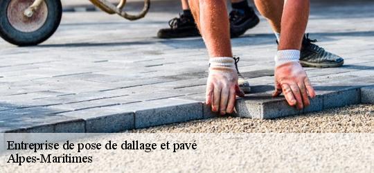 entreprise-de-pose-de-dallage-et-pave