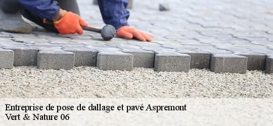 entreprise-de-pose-de-dallage-et-pave