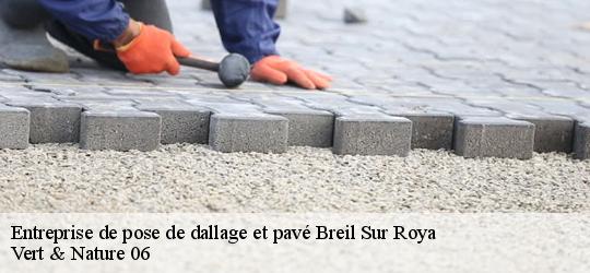 entreprise-de-pose-de-dallage-et-pave