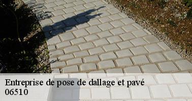 Entreprise de pose de dallage et pavé carros-06510 Artisan Elagage 06