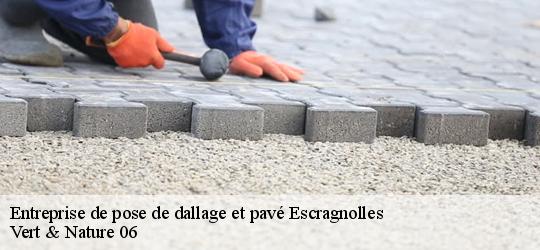 entreprise-de-pose-de-dallage-et-pave