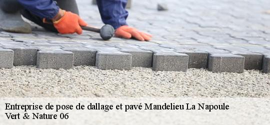 entreprise-de-pose-de-dallage-et-pave