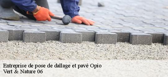 entreprise-de-pose-de-dallage-et-pave