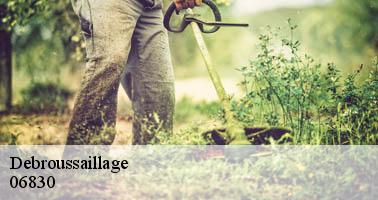 Debroussaillage revesaint-les-roches-06830 Artisan Veis