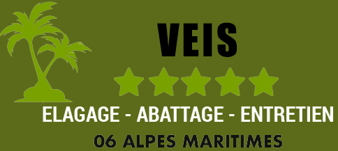 Veis Oswald elagage 06